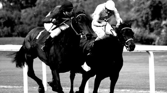 Social Media Investigation: Is the Republican Bid Really a Two-Horse Race? horses