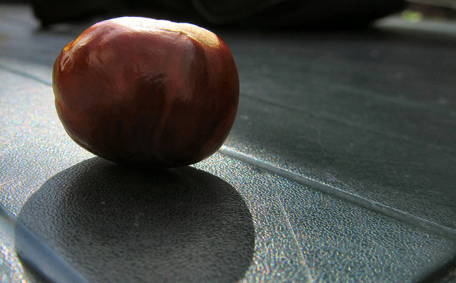 that-old-chestnut1