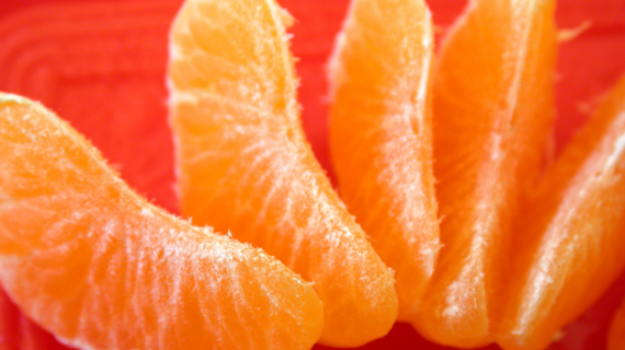 segments