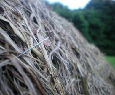 NeedleHaystack