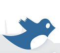 Tweetcamp