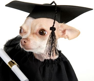 graduate