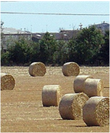 Haystack