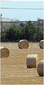 haystack3