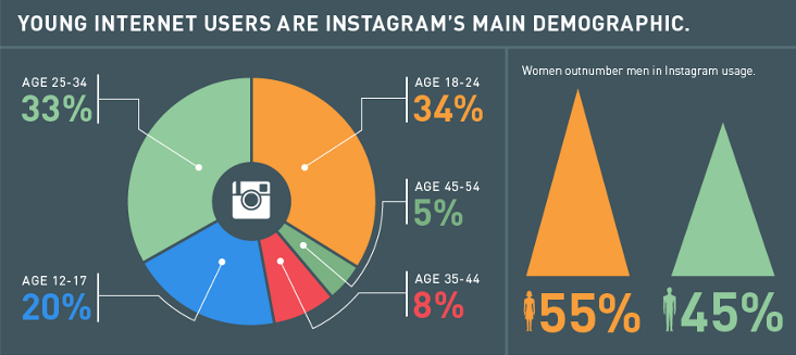 Instagram Demographic