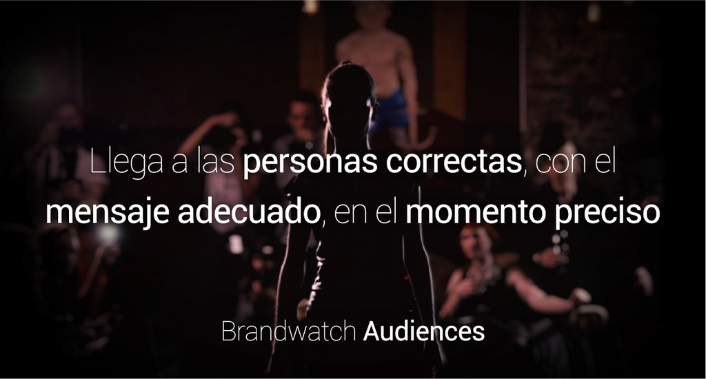 twitter_audiences_es