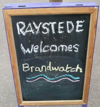 raystede1