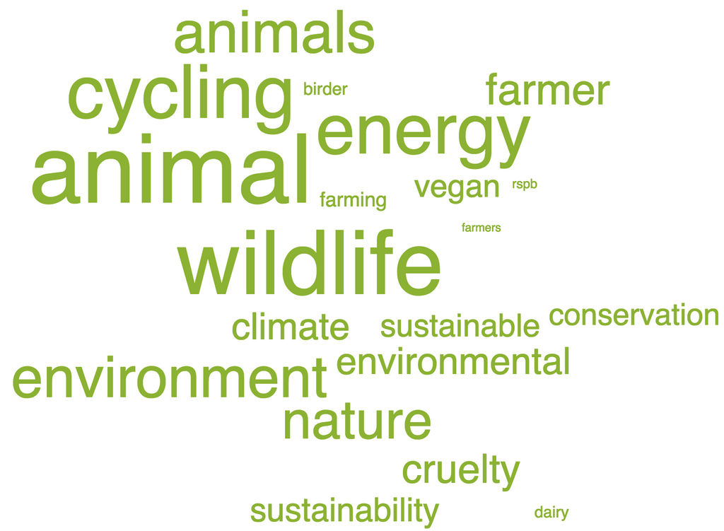 environment wordcloud