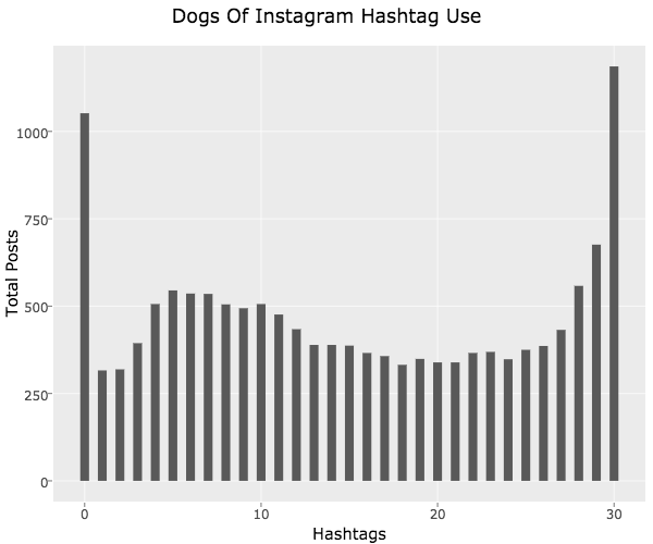 dog-hashtags-of-instagram