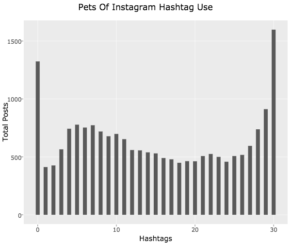 pet-hashtags-of-instagram