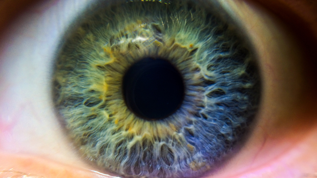 An eye, which was formed by evolution. Like your one-to-one marketing should be.