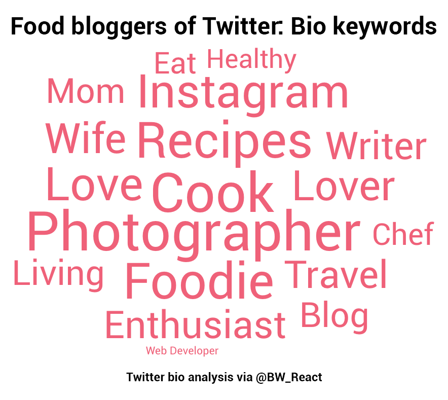 The topic cloud describes what keywords appear most in food bloggers' bios. For example, photographer, cook, foodie, chef, writer, wife, mom, travel and Instagram all appear.