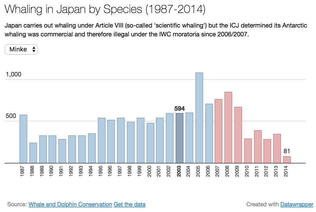 A Datawrapper data visualization showing whaling in Japan over time