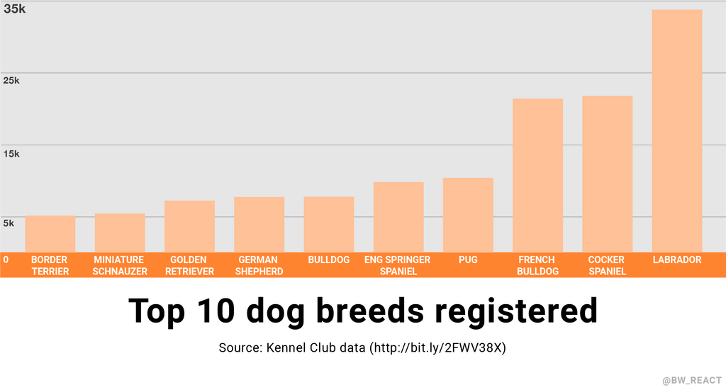 a bar chart shows the top registered dog breeds, from Kennel Club data. Labradors are the most popular, followed by cocker spaniels and french bulldogs.